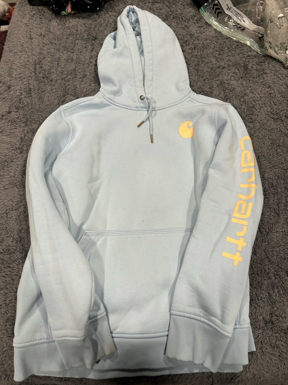 Pastel blue women’s Carhartt hoodie